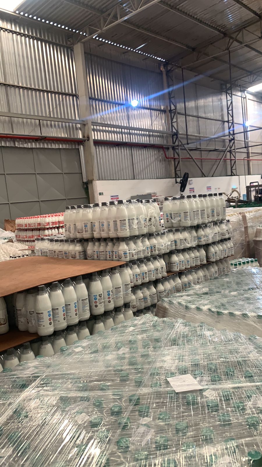 GLV Coco Bodega