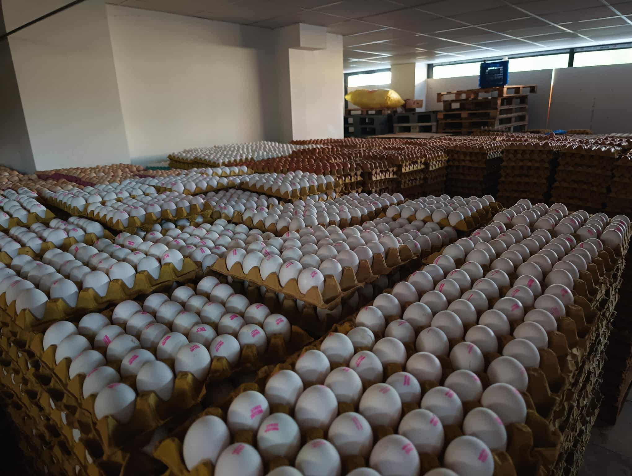 Huevo Blanco Bodega