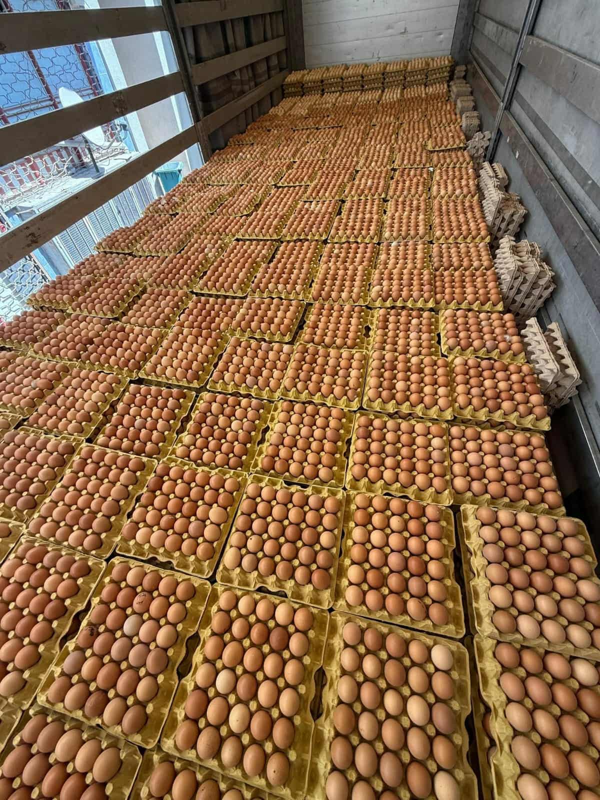 Huevo Marrón Bodega
